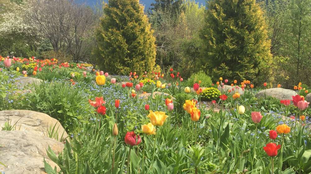 Bibler Gardens Spring Cover