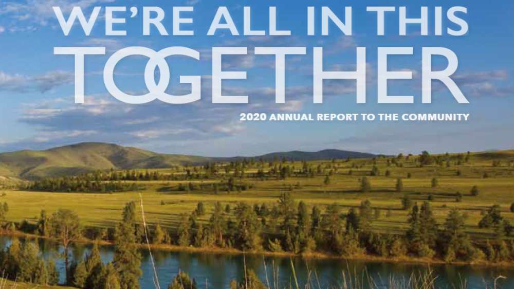 2020 Annual Report Cover