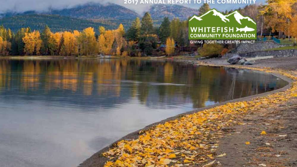2017 Annual Report Cover