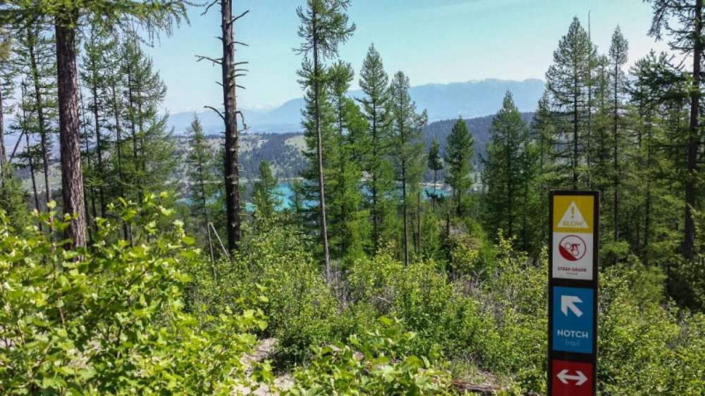 60316401 8fdd 47d2 a668 758c037bf802 cot1d73eafa7103344ef