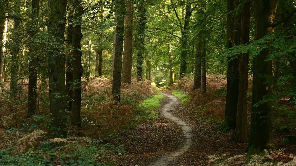 Pexels werner redlich 11921853 20231636