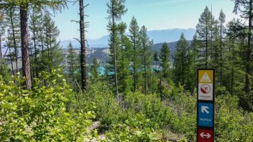 60316401 8fdd 47d2 a668 758c037bf802 cot1d73eafa7103344ef