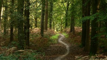 Pexels werner redlich 11921853 20231636