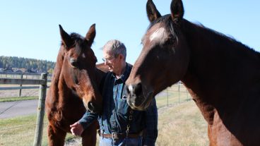 10192021 Mark Schmidt and driving horses 1