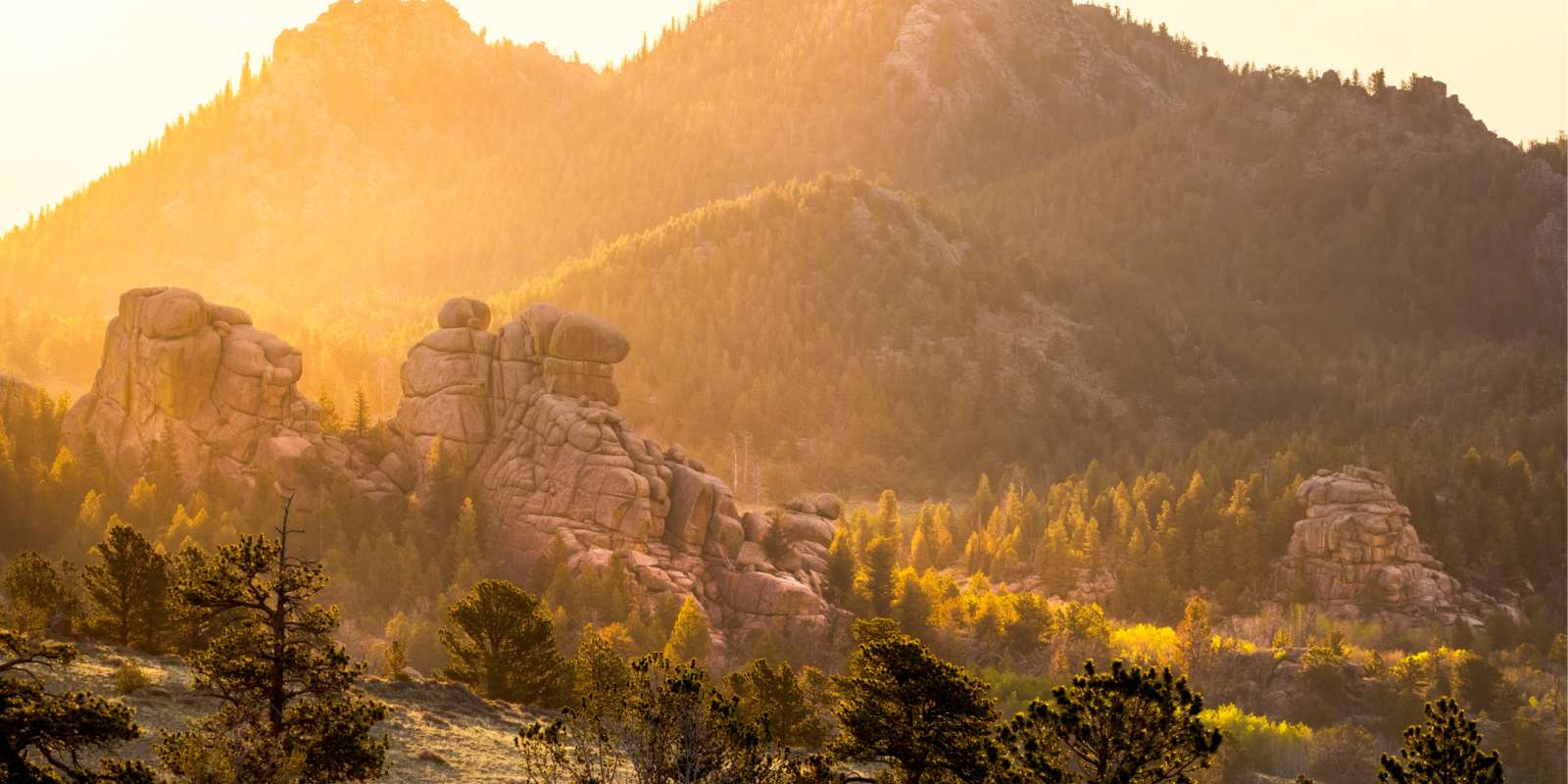 Blair wallis green mtn vedauwoo summer sunrise 20220617 0009 1