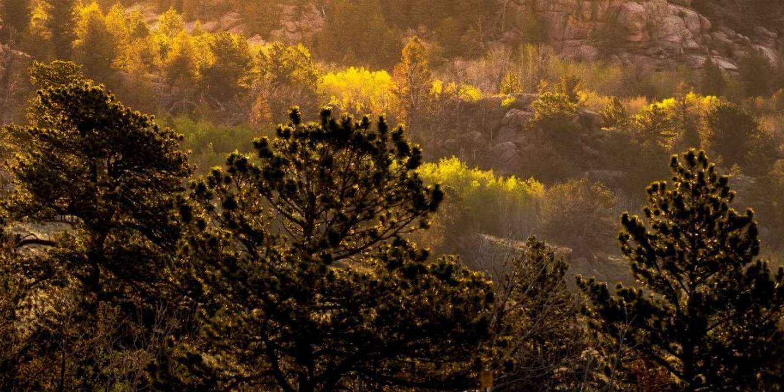 Blair wallis green mtn vedauwoo summer sunrise 20220617 0009 SMALL