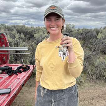 Western Wyoming Loggerhead Shrike