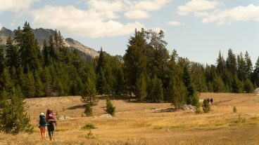 Pexels alexmoliski 33775483