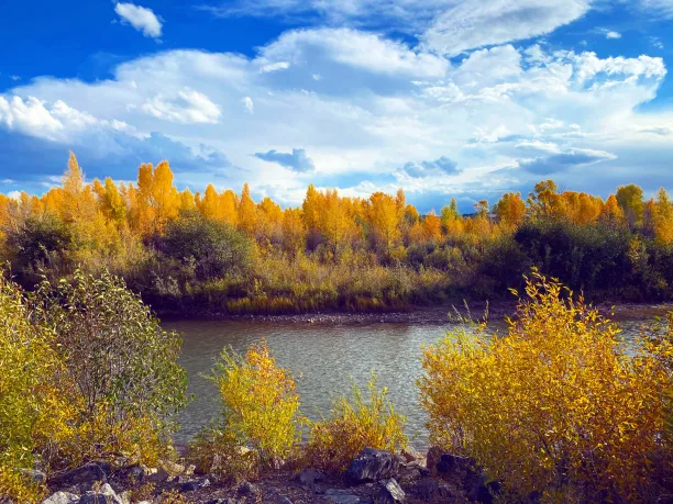 Uinta County