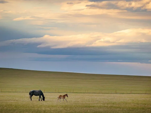 Laramie County