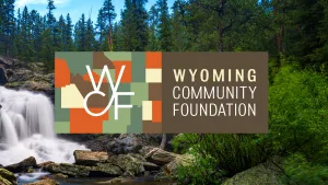 WYCF Grant Deadline