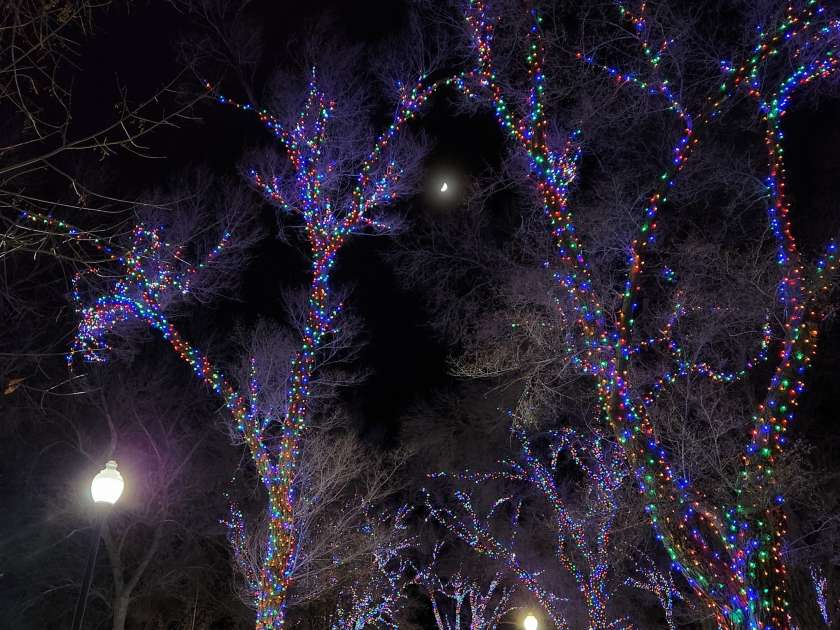 City of Rock Springs Light Up Bunning Park