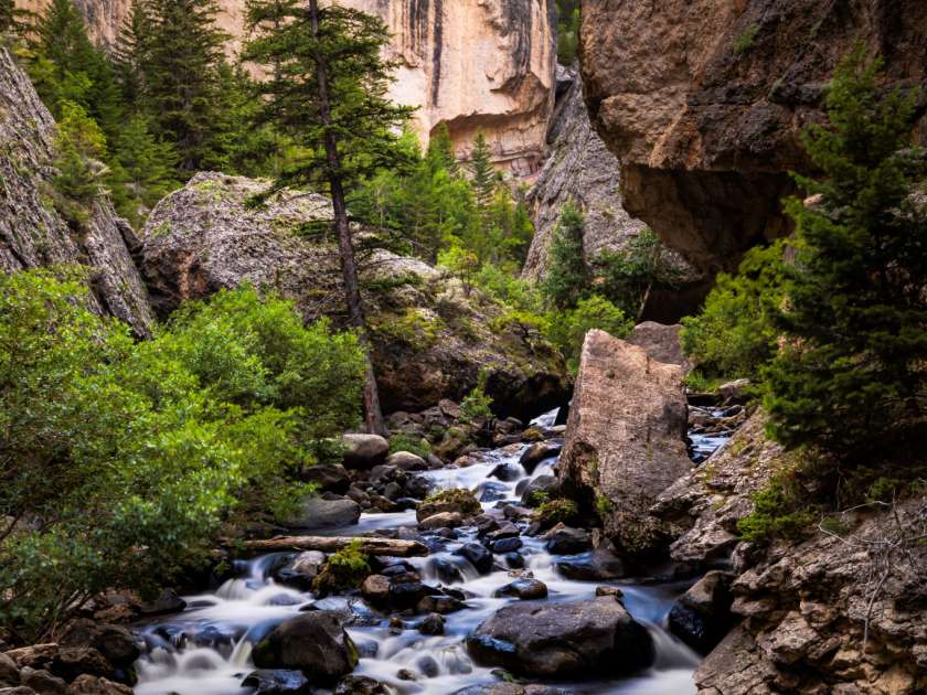 Crazy woman canyon bighorns 20220730 0122